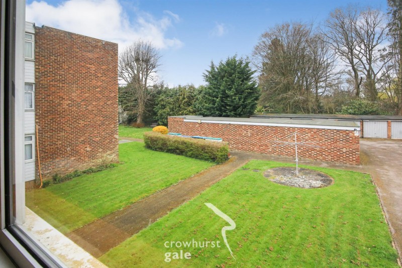 Images for Martin Lane, Rugby EAID:CROWGALAPI BID:1