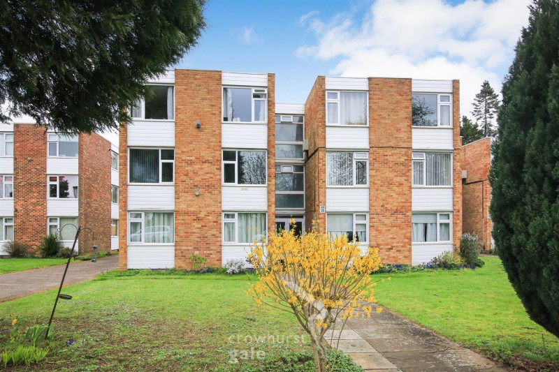 Images for Martin Lane, Rugby EAID:CROWGALAPI BID:1