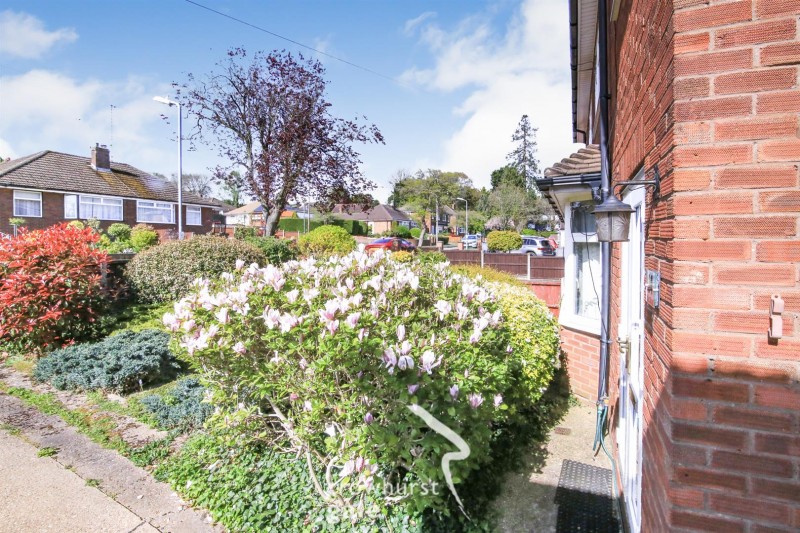 Images for David Road Bilton Rugby EAID:CROWGALAPI BID:1